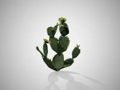 Prickly Pear Cactus Tree Low-poly 3D model