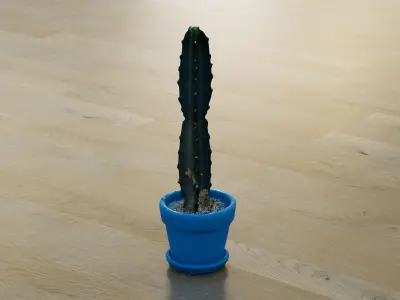 Potted cactus plant Low-poly 3D model