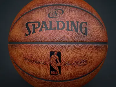 Spalding NBA Official Basketball Game Balls Pack 3D model