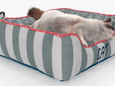  Domestic Cat Napping in Soft Cushion Fur for Maya 