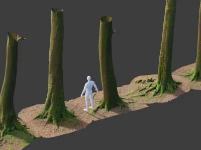 PBR 8x Beech Tree Trunk Real Scan Roots Collection Low-poly 3D model