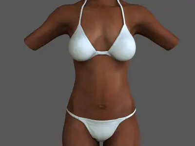 White and African American Female Torso 3D model