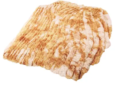 Rug The Marsh 3D model