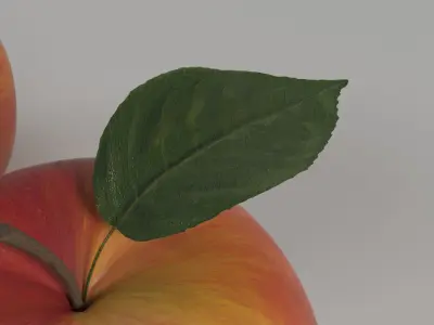 Apple two apples 3D model