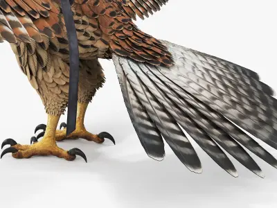  Hunting Falcon with Traditional Falconry Hood Brown 