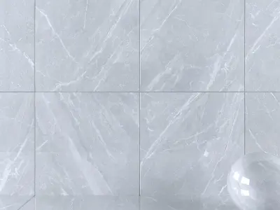 Wall Tiles Museum Mainstone Dolphin 120x120 Set 2 Texture