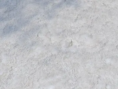 Salty shore by the lake 3D model