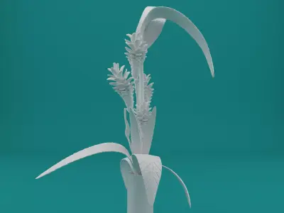 Ginger Plant Model for 3D Printing 3D print model