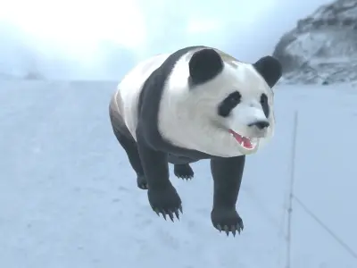 Panda bear in snow Low-poly 3D model