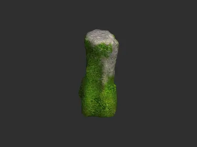 Rock Set 05 - Forest 3D model