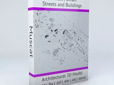 Muscat Streets and Buildings 3D model