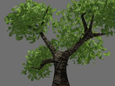 Tree PBR Free Free low-poly 3D model