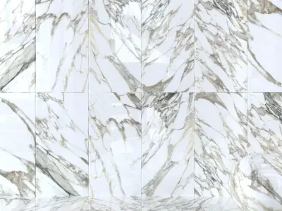 Wall Tiles  Museum Macchia Vecchia 60x120 Set 1 Texture