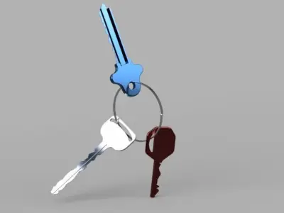 House and Shed Key  3D model