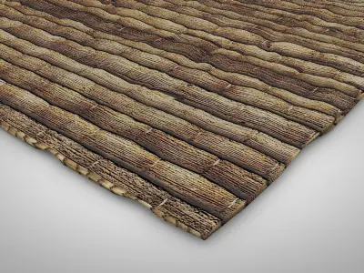 Old Palm Leave Mat 3D model