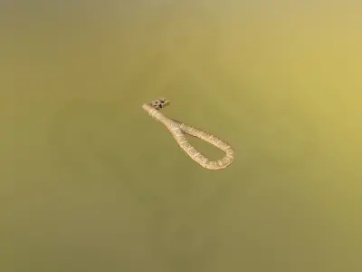 Viking Key Low-poly 3D model