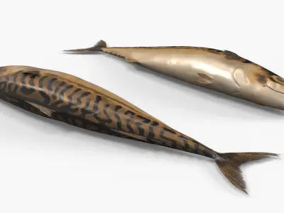  Smoked Mackerel Fish on Slate Plate with Tomato and Rosemary 