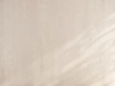 Wood material v08 Texture