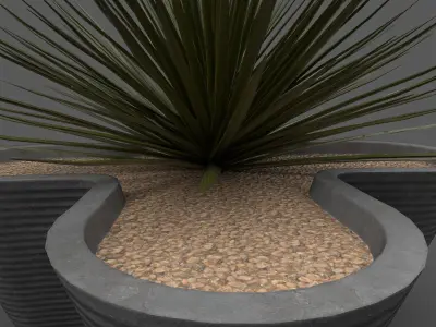 Planter with Yucca Low-poly 3D model