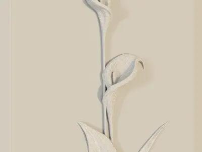 calla facade for cnc 3D model