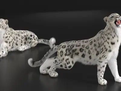  Snow Leopard Rigged with Fur 