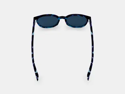 Sydney Sunglasses in Riverbed Tortoise 3D model