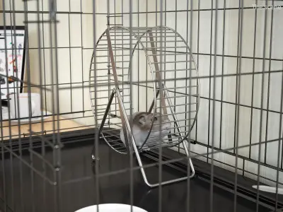  Pet Exercise Wheel on Stand with Running Hamster Fur for Maya 