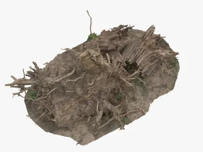 Tree uprooted dry stump roots 3D model