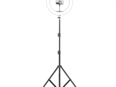 Selfie Lamp 3D model