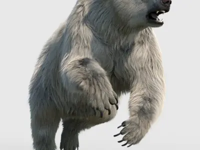  Polar bear RIGGED FUR 