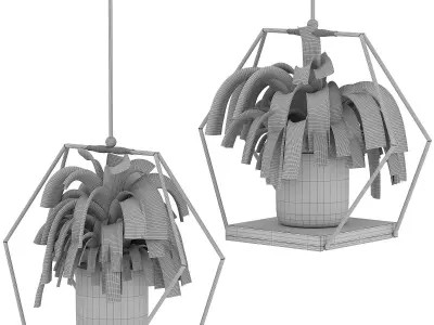 Hanging Plant 06 3D model