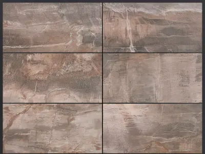 ABK Fossil Brown 400x800 3D model