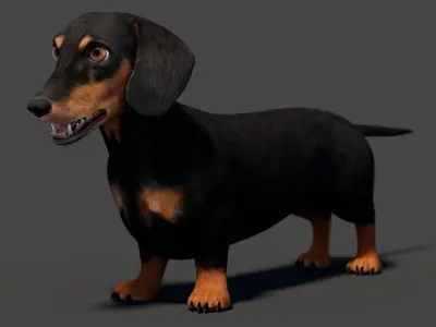  Black Dachshund Dog 