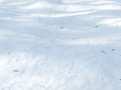 Snow 01 3D model
