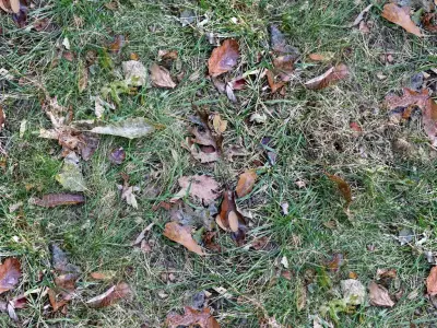 Leafy Ground Seamless Material Texture