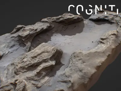 Iceland Tidal rocks 3D model