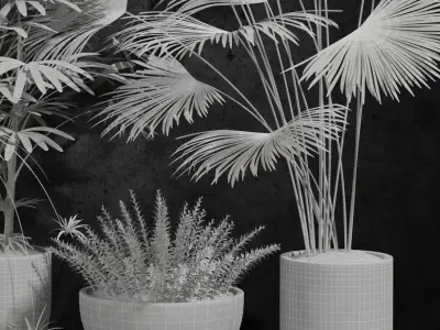 Room plants 3D model