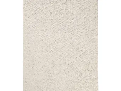  JAHAN WOOL RUG 3D model