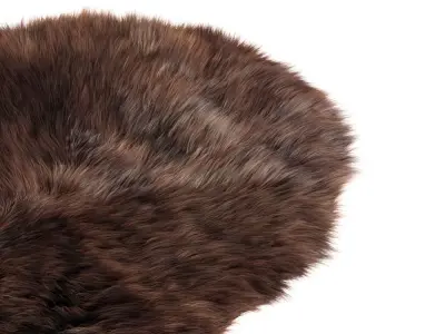 Animal skin rug 04 3D model