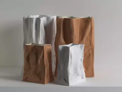 Bag Vase 3D model