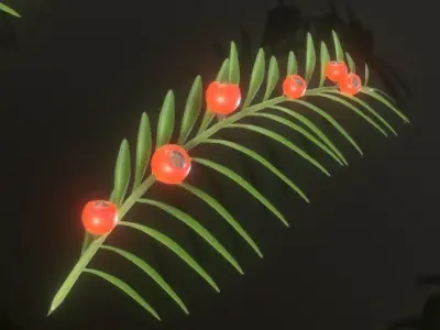 Yew Taxus Baccata Tree and High-Poly Branches 3D Model Pack