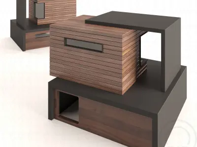 Cat The Dwell House Low-poly 3D model