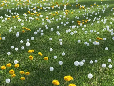 dandelion field 3D model