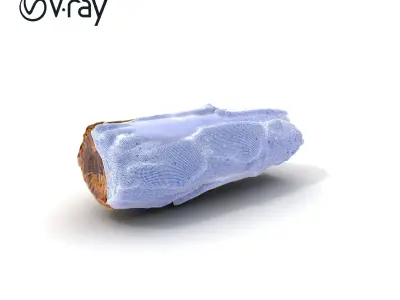 Tree Bark Texture Model Pack with High Detail Texture