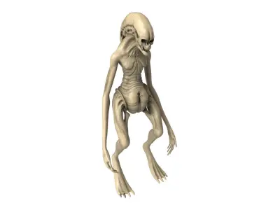 Alien Newborn 3D model