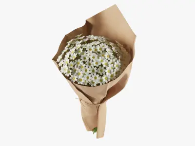  Flowers In Bucket And Bouquets Set 