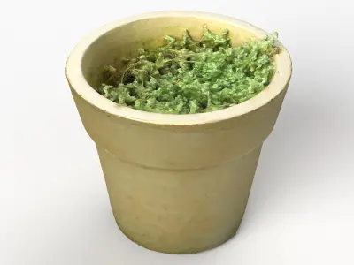  Plant Pot Collection 03 