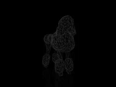Poodle Wireframe Low-poly 3D model