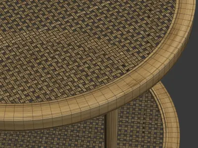 Double wooden rattan coffee table  3D model