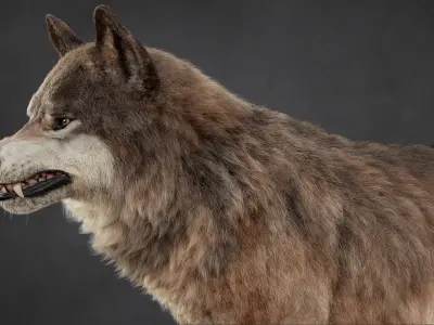  Wolf Pack Rig XGEN-CORE 